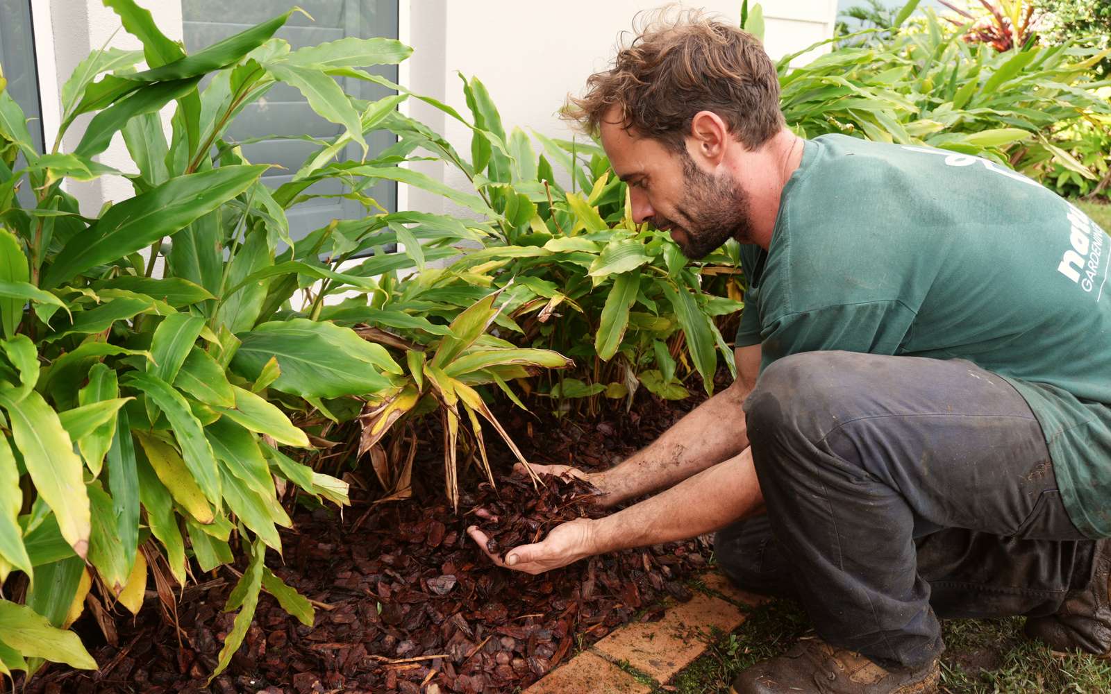 Justo laying mulch through a ginger bed against a new white house