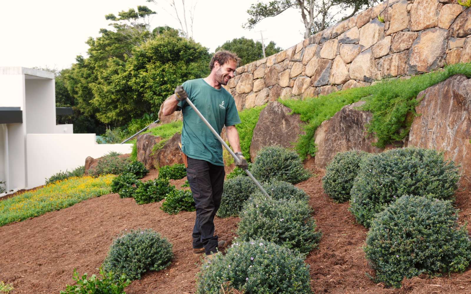 Raking fresh mulch through terraced garden beds below a stone wall