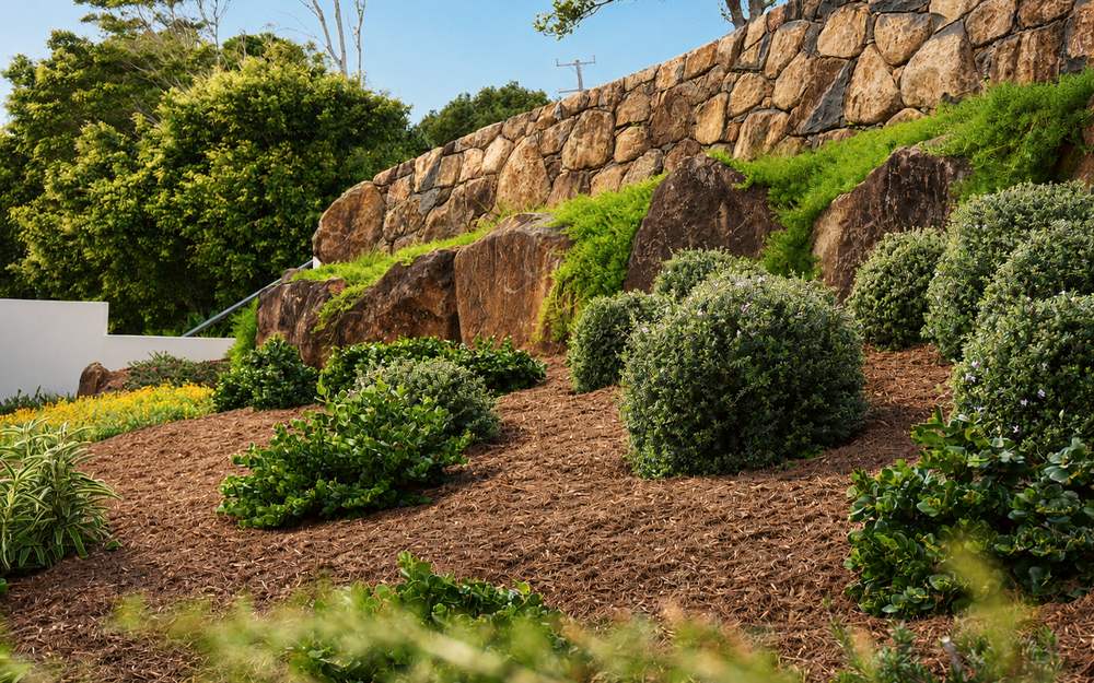 Terraced garden freshly weeded and mulched below a stone wall